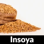 insoya