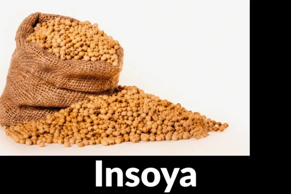 insoya