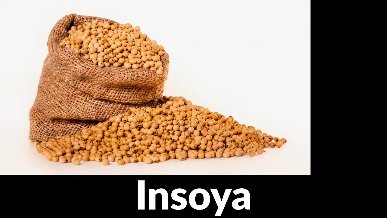 insoya