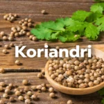 koriandri