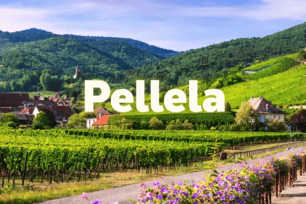 pellela