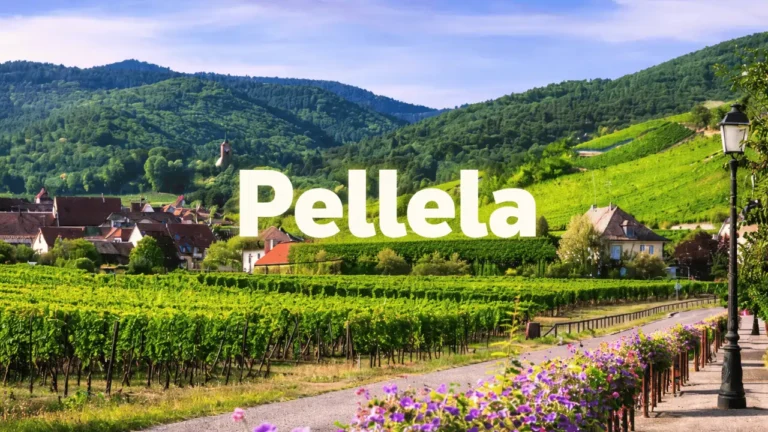 Pellela: History, Heritage, Regional Roots and Lasting Family Legacy