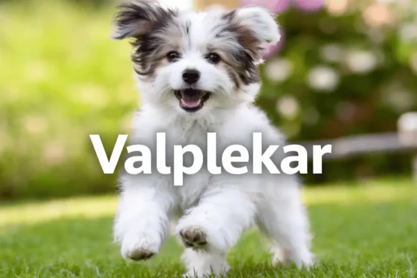 valplekar
